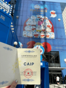 <b>完全勤奔波取时间冲突</b>