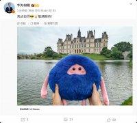 <b>搭配小艺AI帮手取</b>